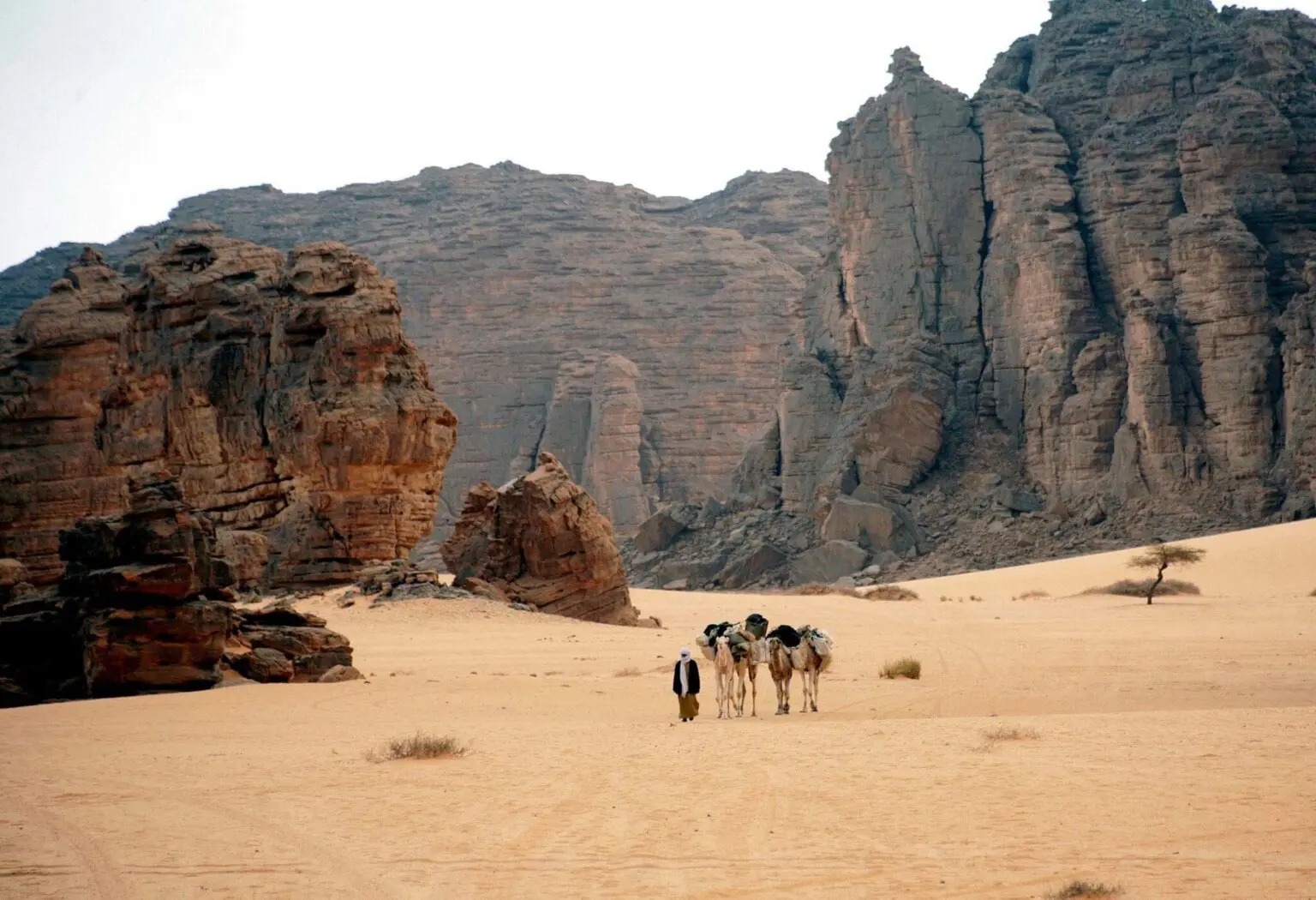 Ils voulaient emporter les trésors de l’Algérie dans leurs valises: un trafic vers la France déjoué