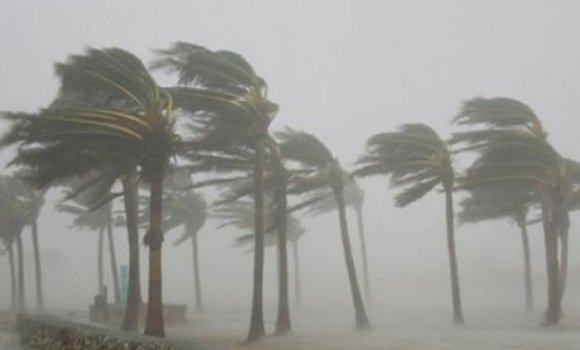 Your alt text description