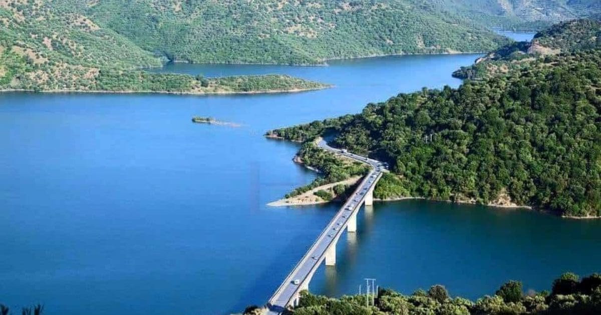 Your alt text description