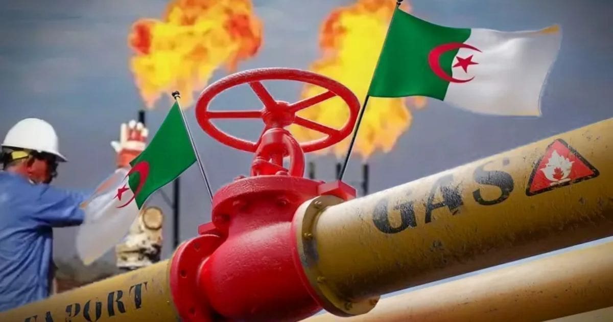 Your alt text description