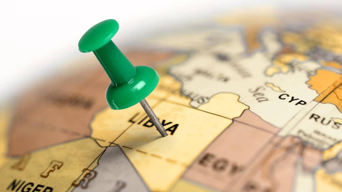 Your alt text description