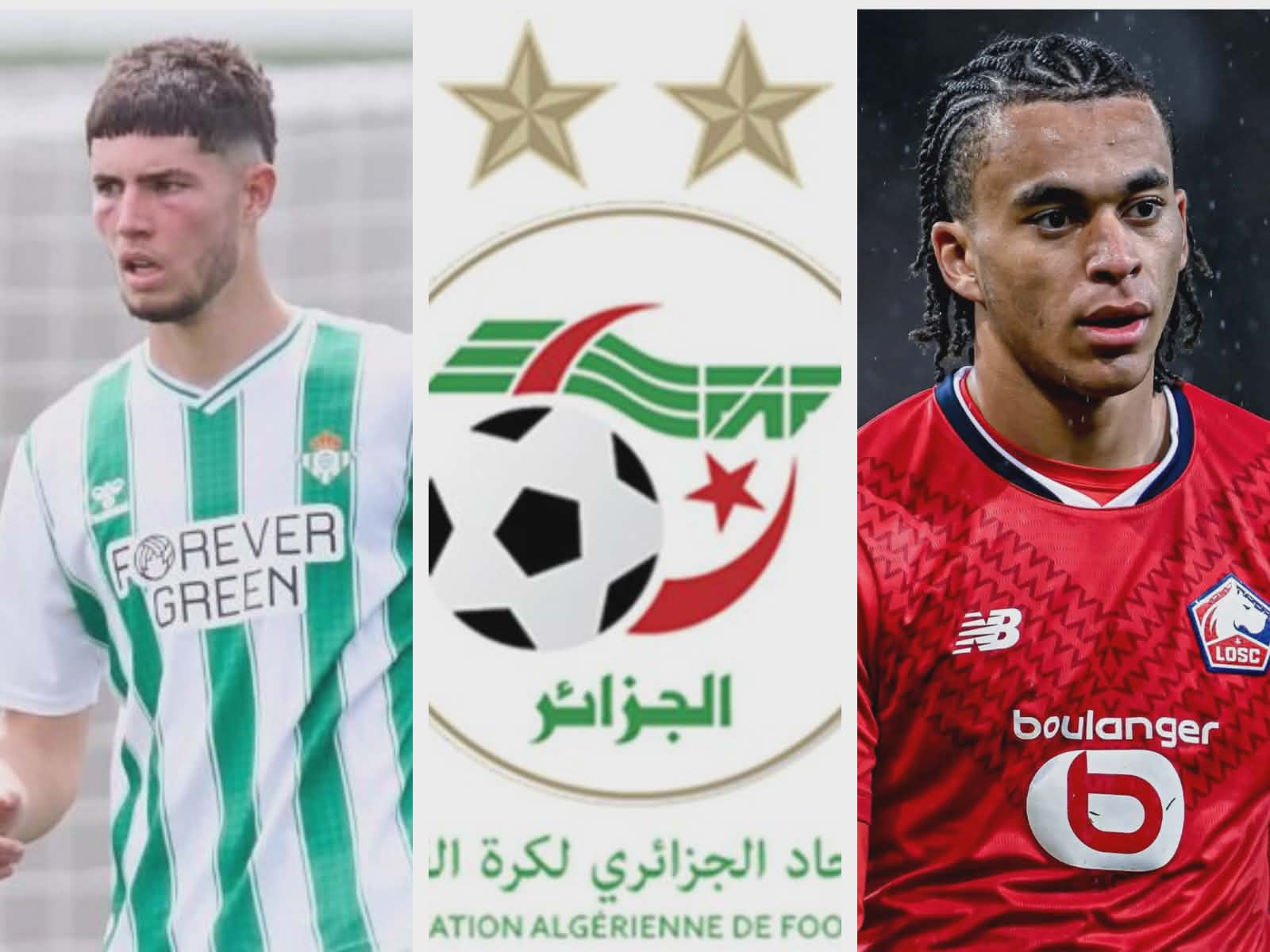 Your alt text description