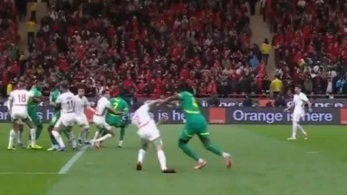 Your alt text description