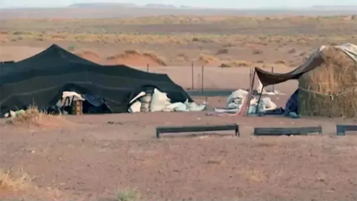 Your alt text description