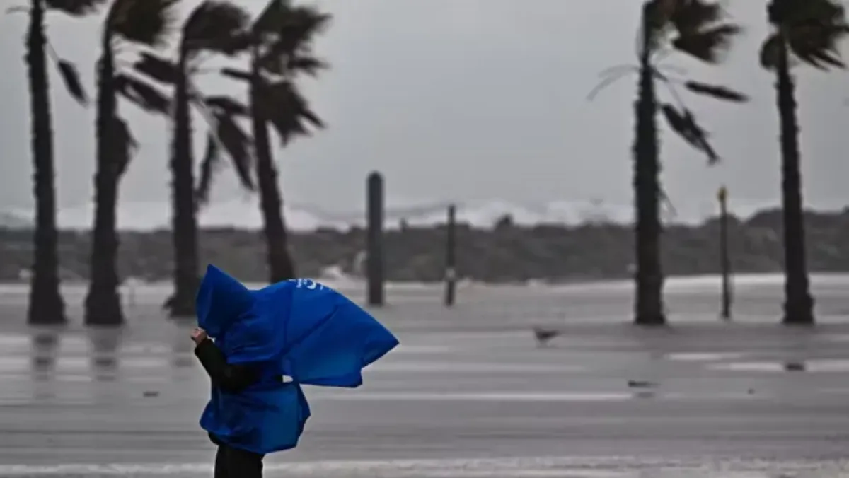 Your alt text description