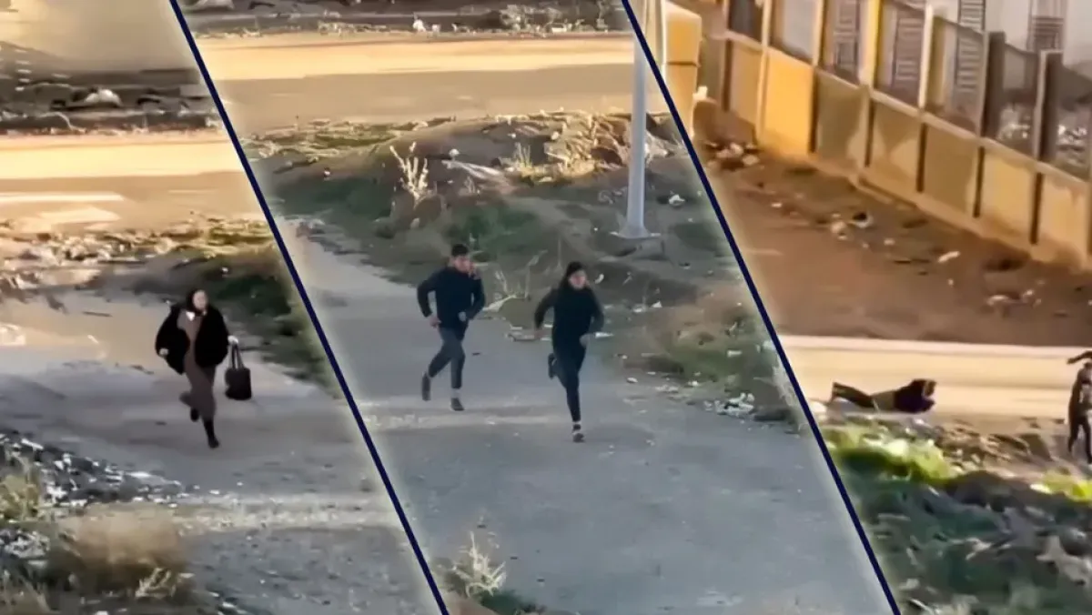 Your alt text description