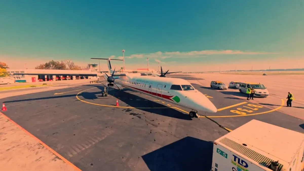 Your alt text description