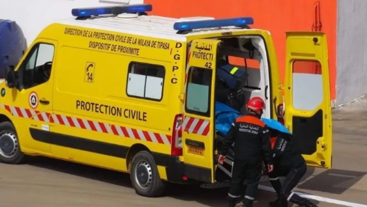 Your alt text description