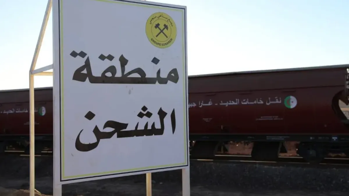 Your alt text description