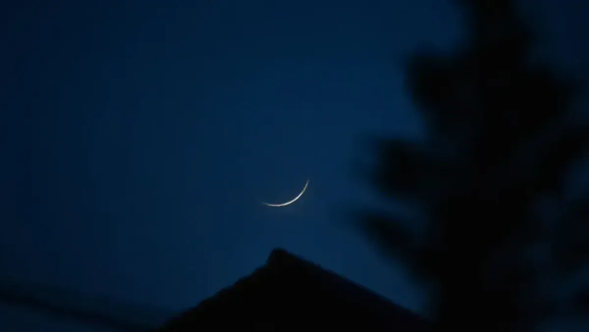 Your alt text description