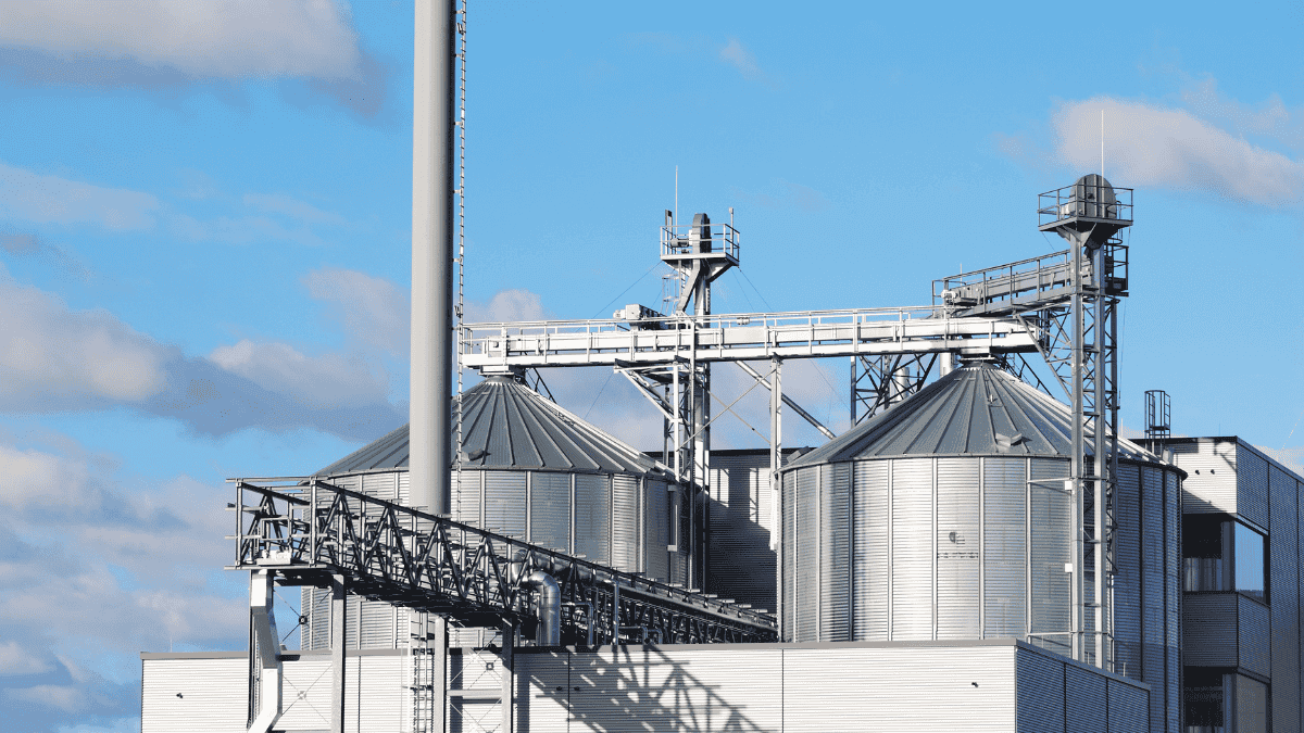 Your alt text description