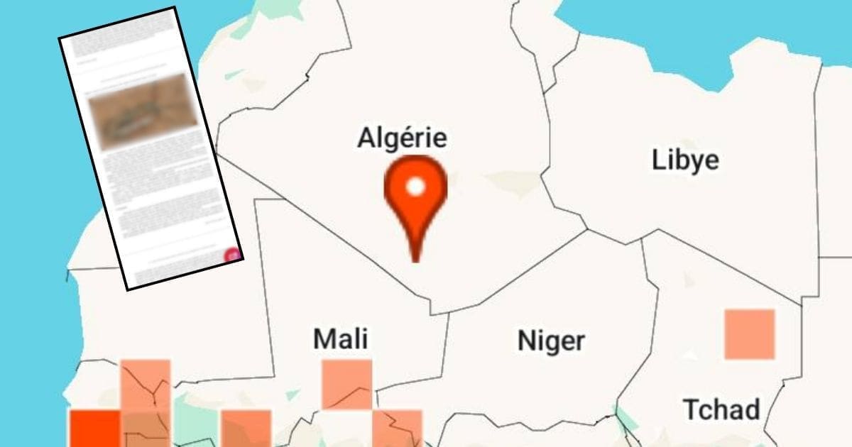 اكتشاف أول فراشة ليلية في الجزائر وشمال أفريقيا