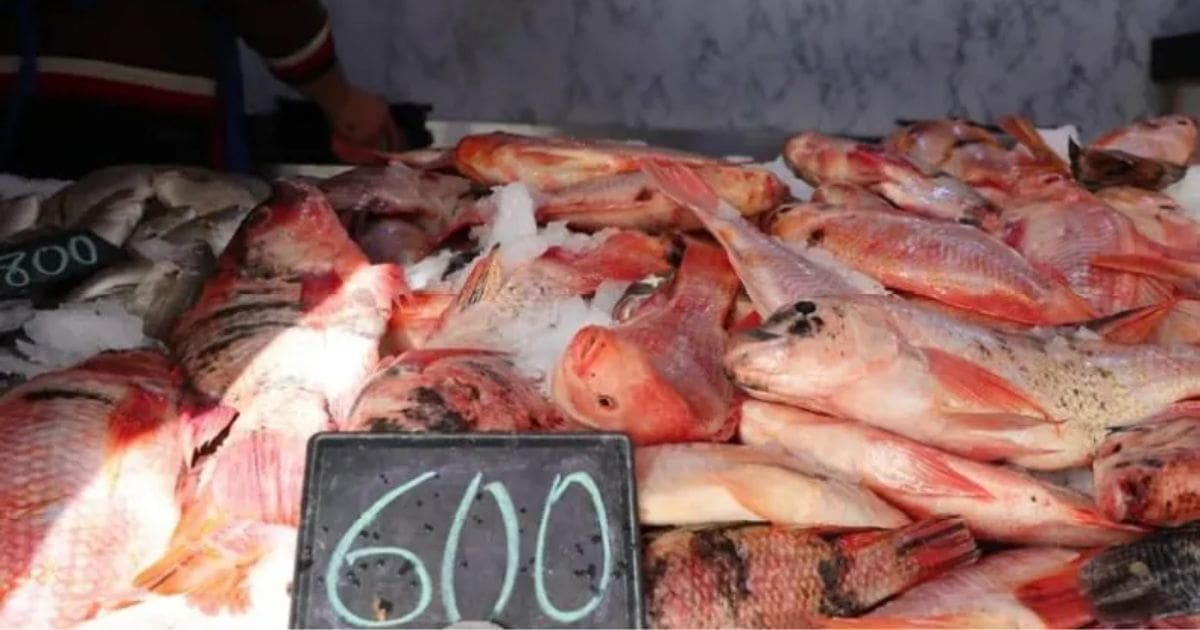 Your alt text description