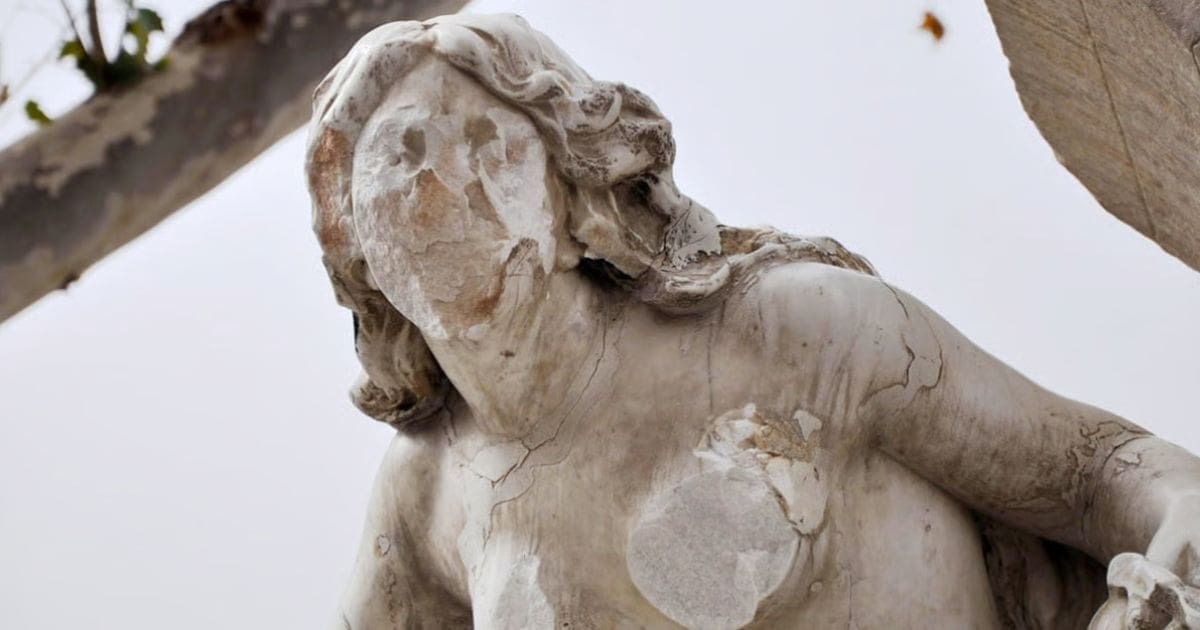 Your alt text description