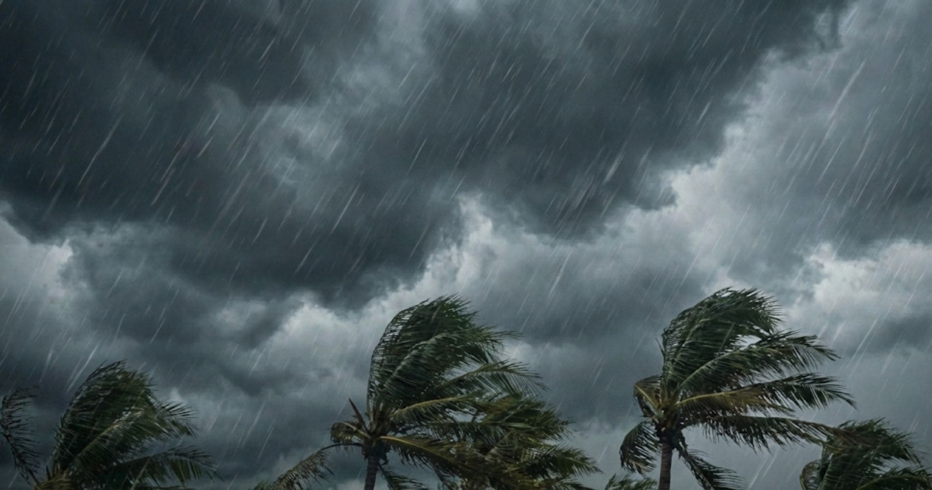 تنبيه أرصاد الجزائر بأمطار قوية تصل إلى 50 مم