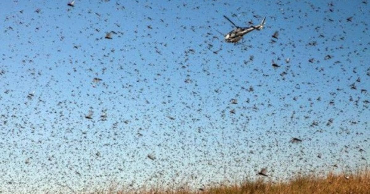 Your alt text description