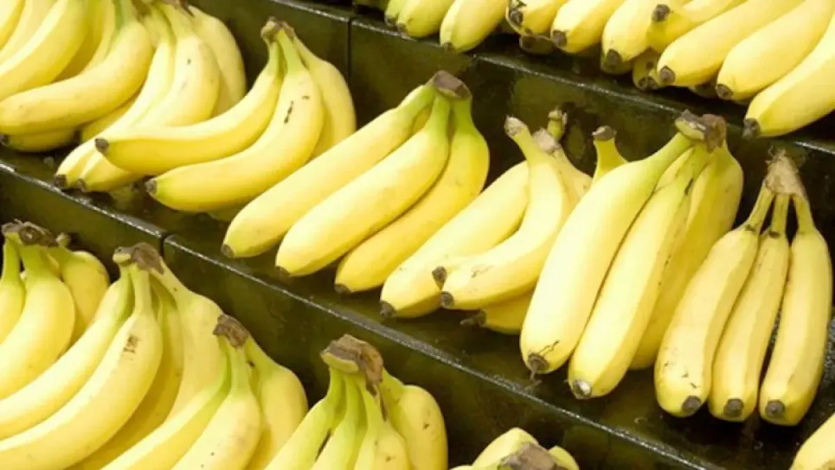 انخفاض أسعار الموز في الجزائر إلى 360 دينار