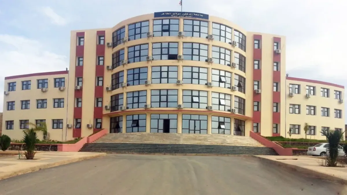 Your alt text description