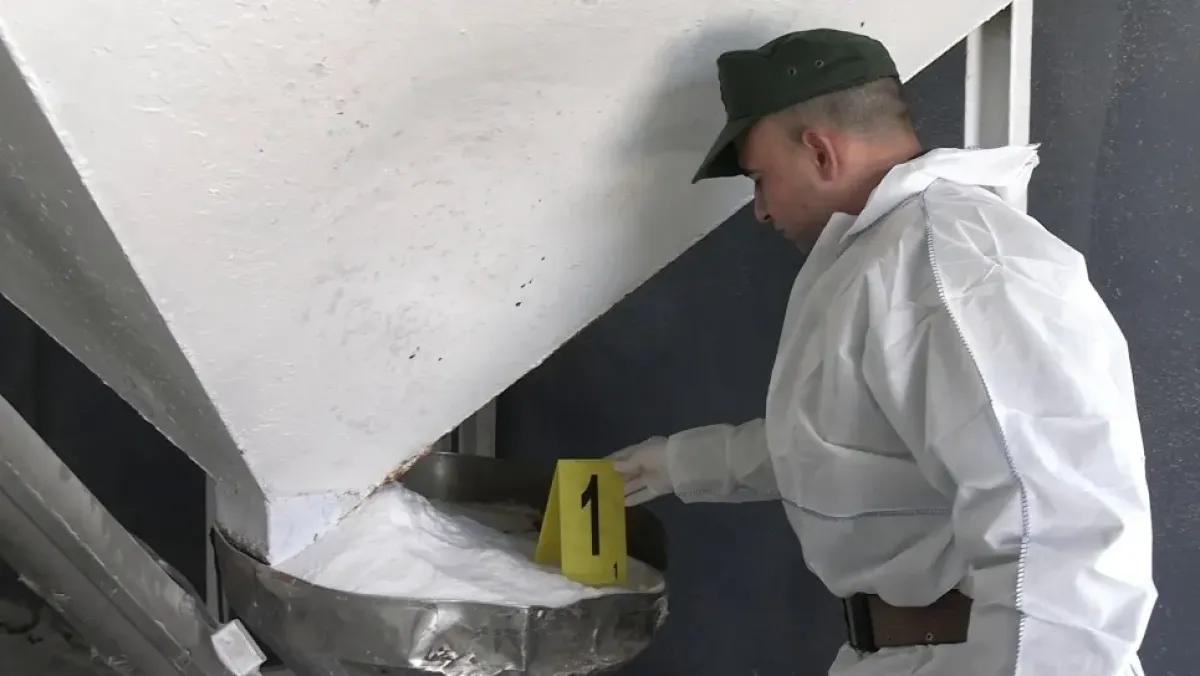 Your alt text description