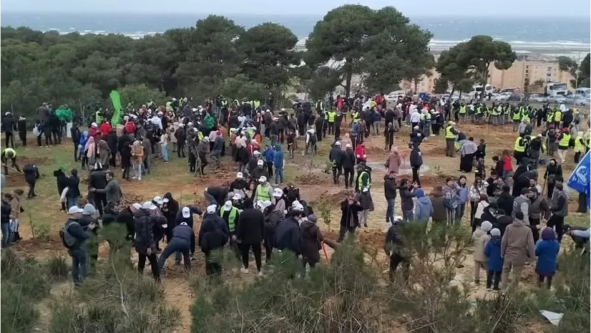 أكبر حملة تشجير وطنية في الجزائر تستهدف 5 ملايين شجرة
