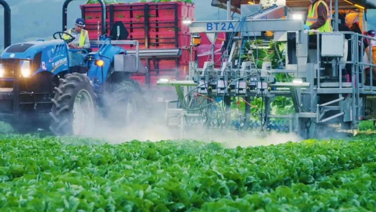 Your alt text description