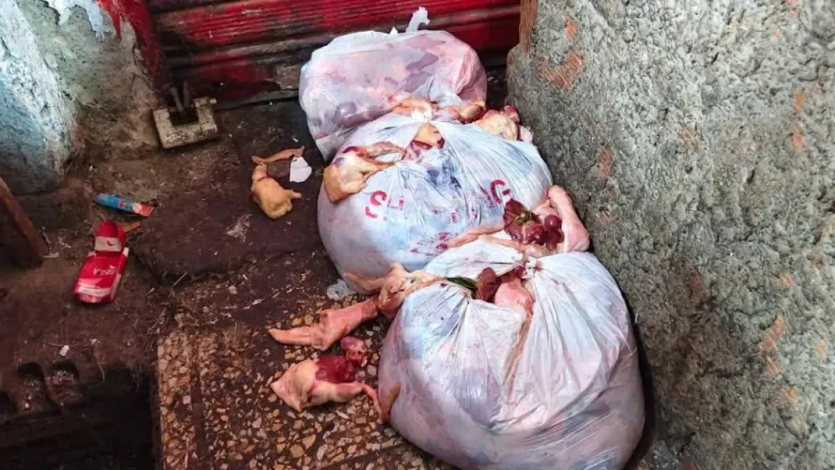 ضبط أكثر من طنين من اللحوم الفاسدة في الجزائر