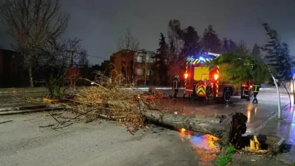 Your alt text description