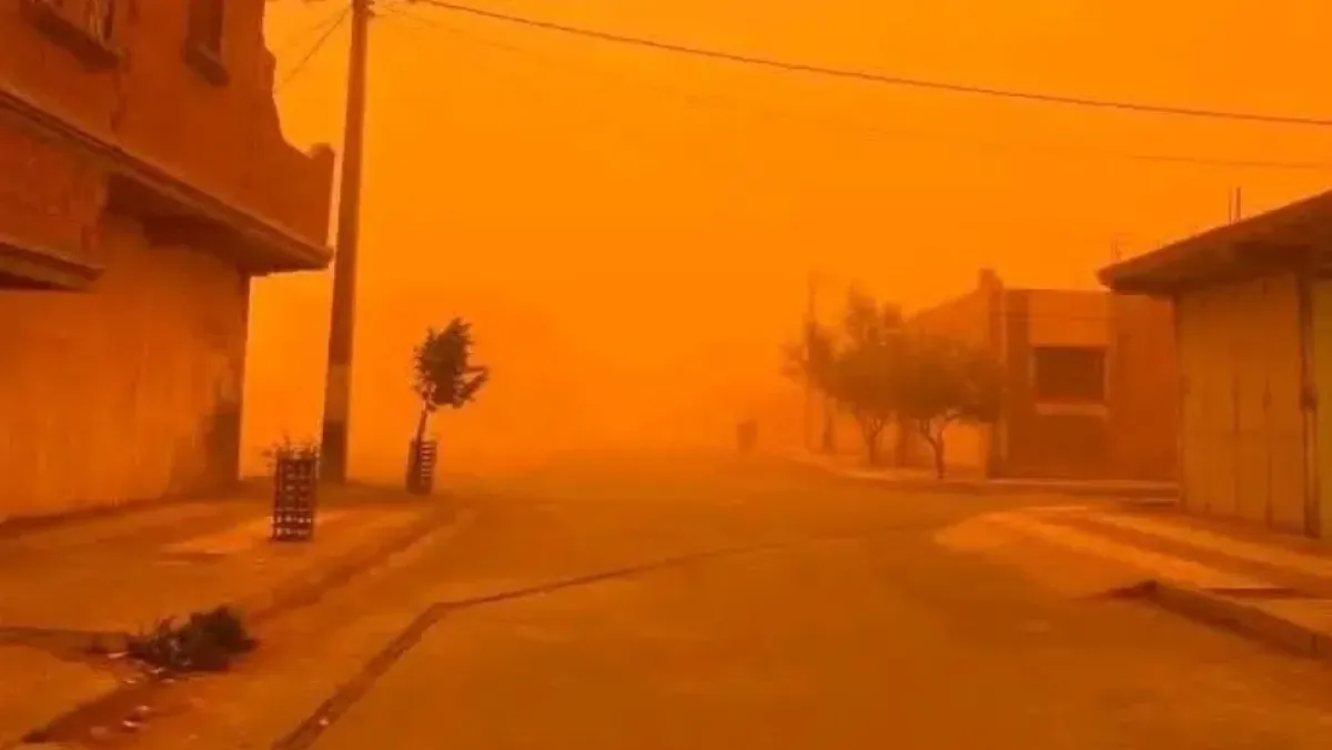 Your alt text description