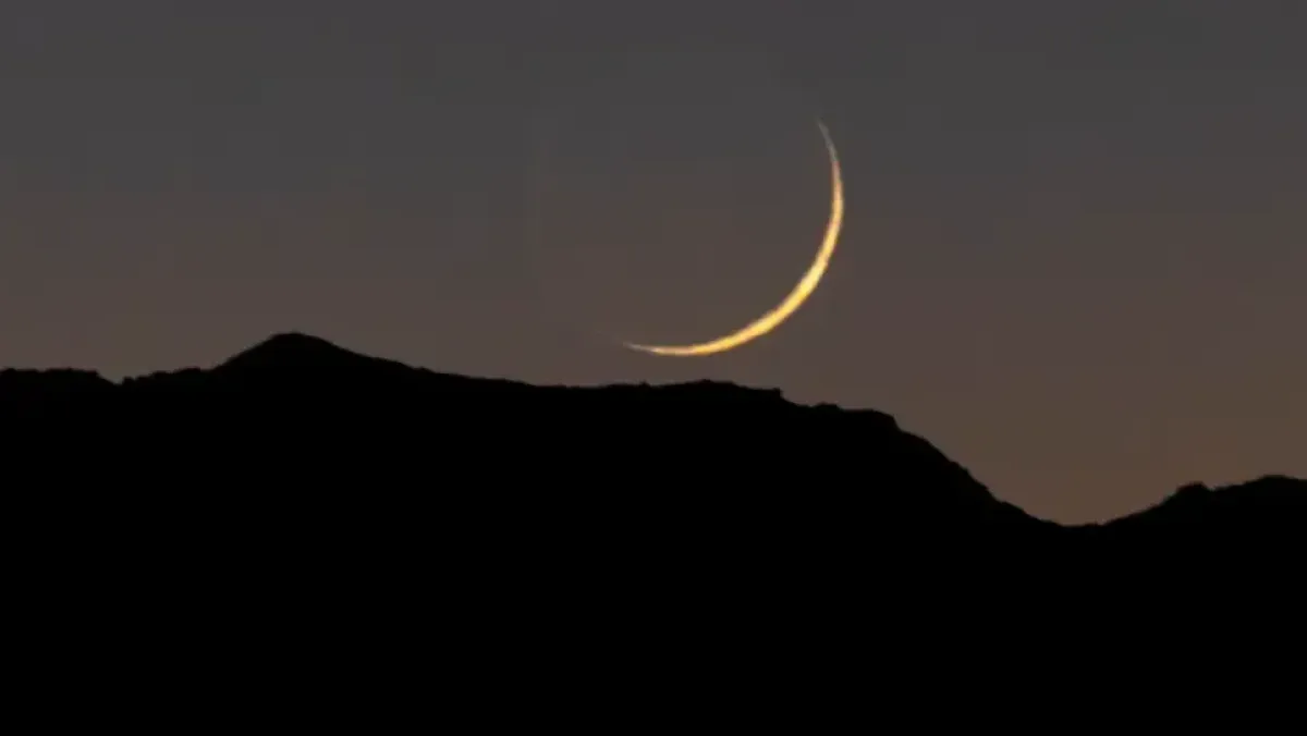 Your alt text description