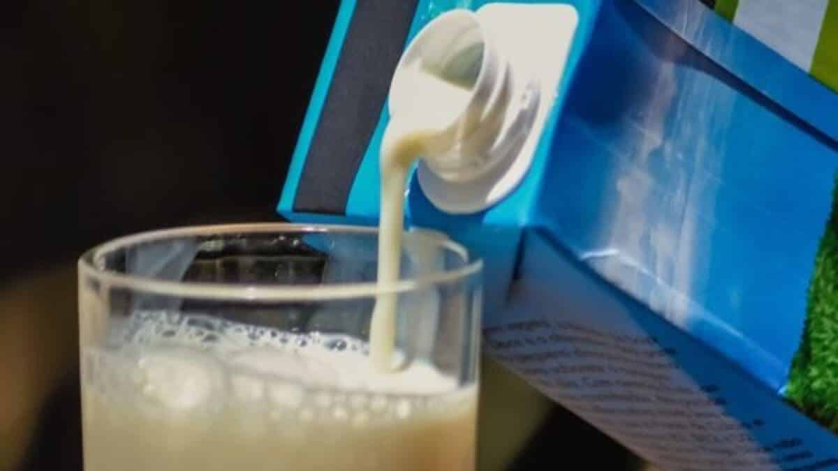 Your alt text description