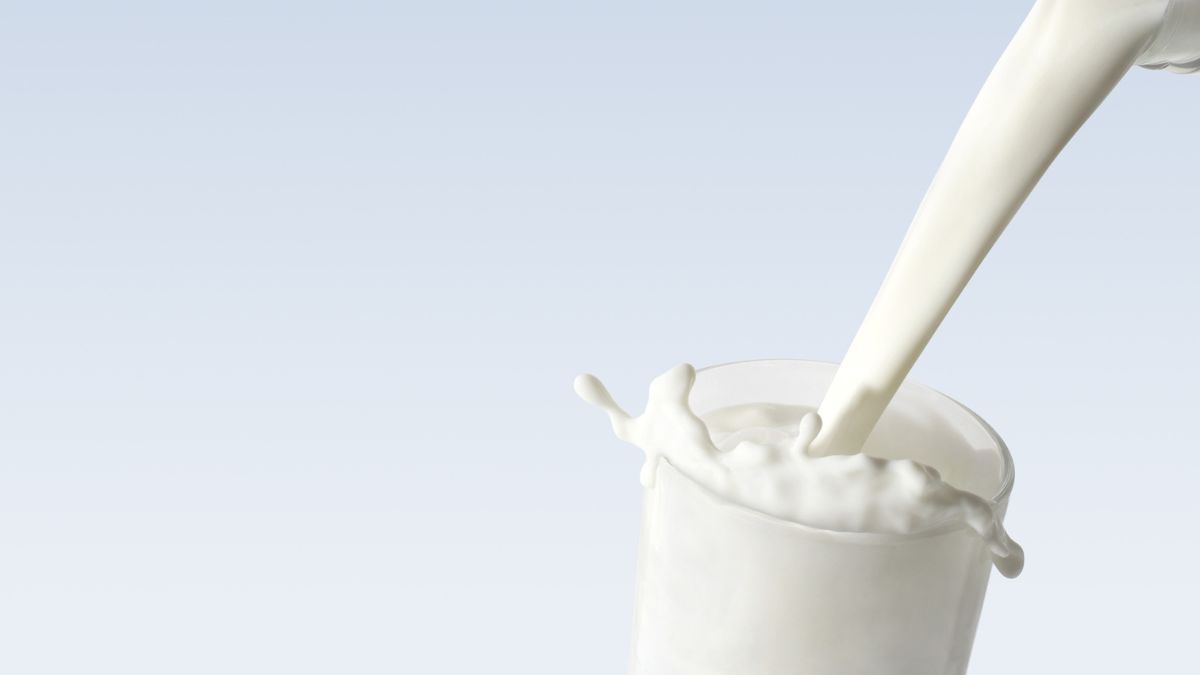 الجزائر توسّع قدرة معمل حليب الرويبة إلى 1.2 مليون لتر