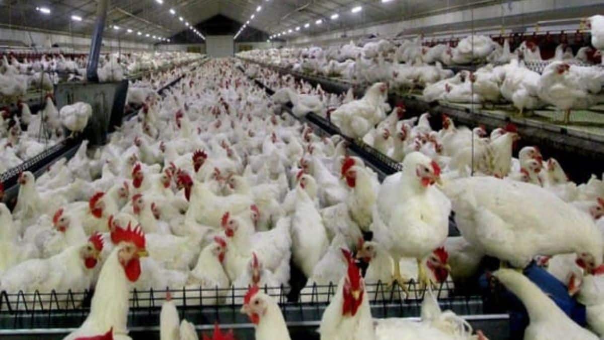 وزير الزراعة يلتقي بالمزارعين في سطيف يناقش ارتفاع أسعار الأعلاف