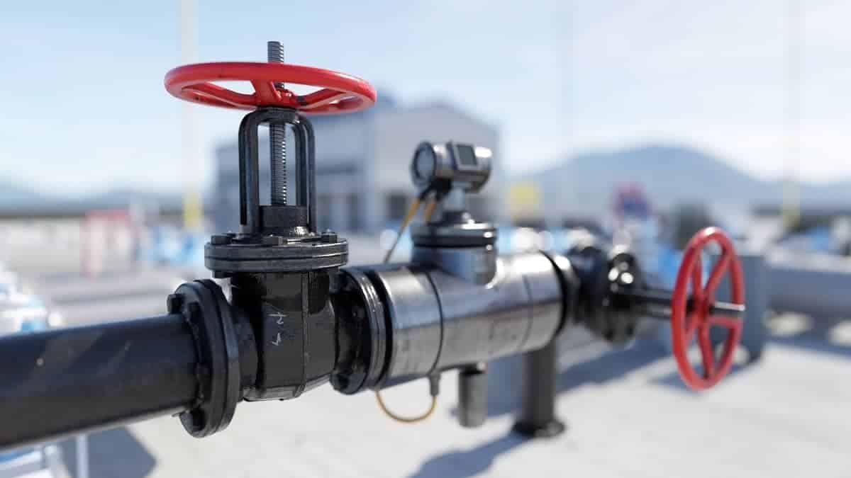 Your alt text description