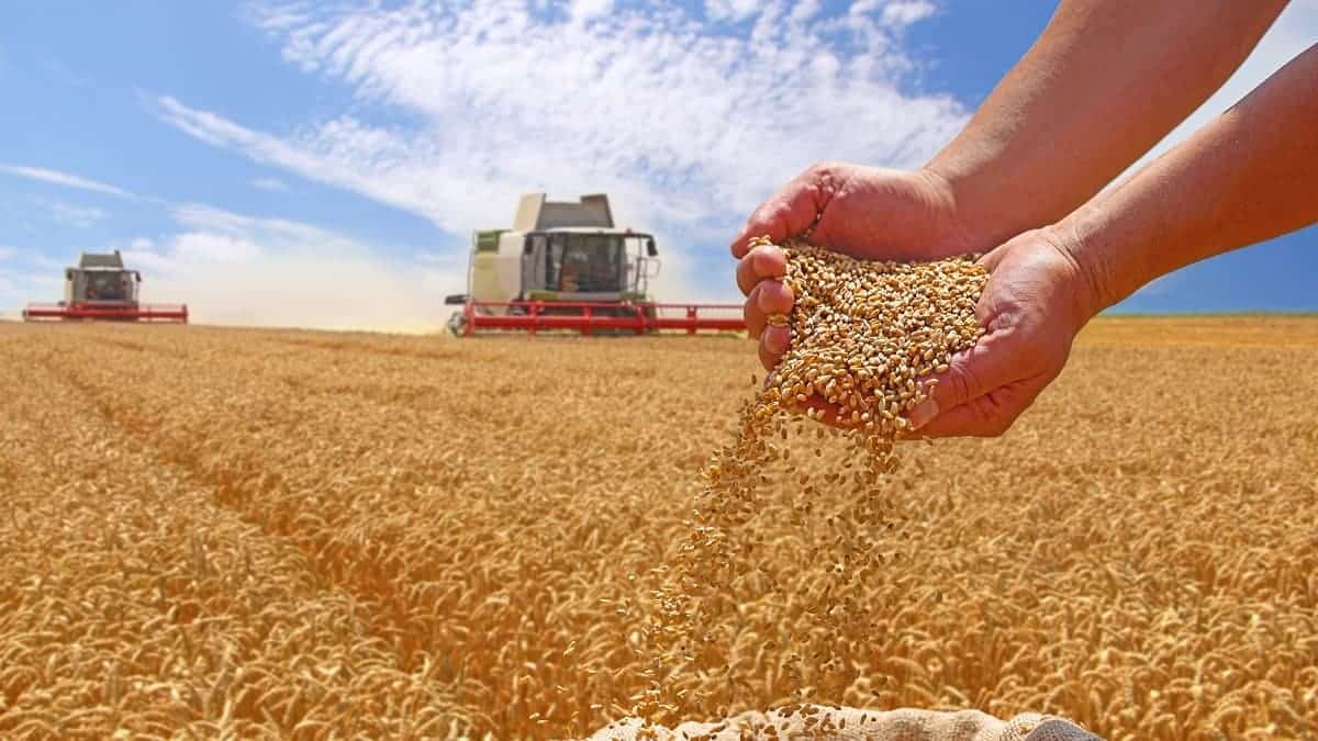 Your alt text description