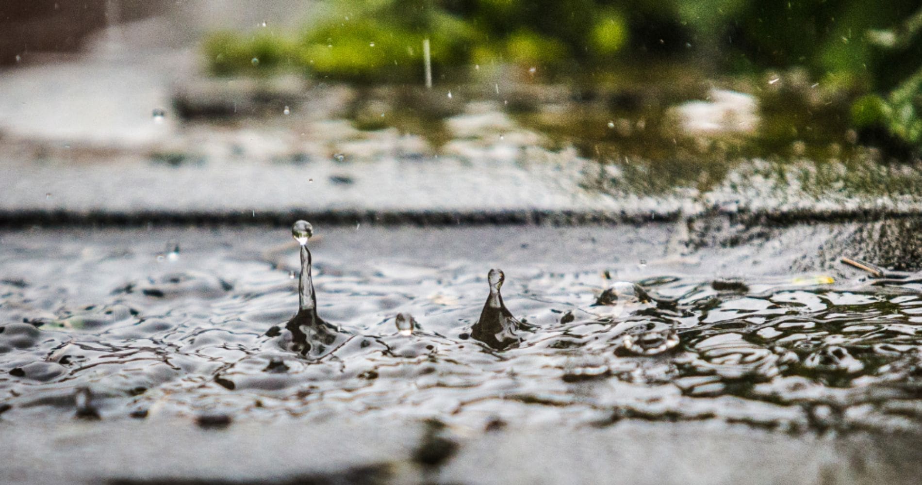 تحسن الطقس في الجزائر مع بقاء رياح عاتية وأمطار غزيرة