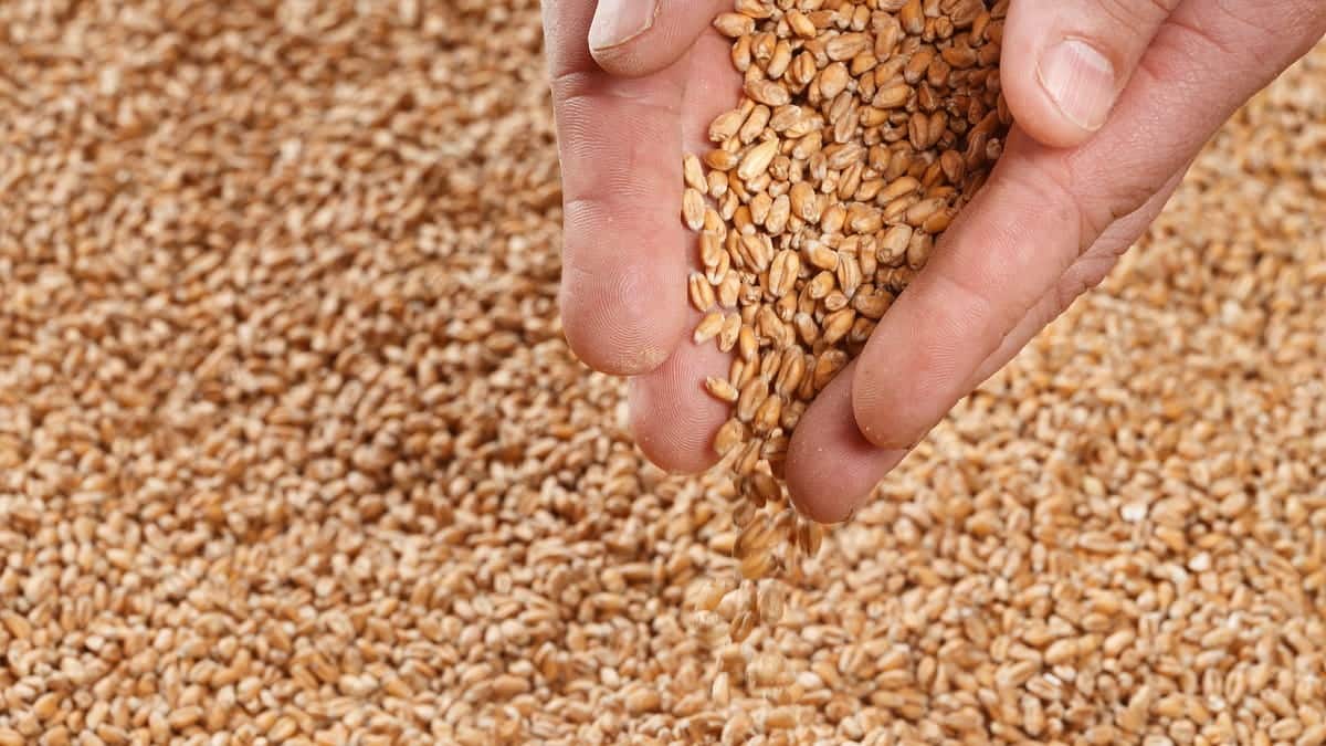 Your alt text description