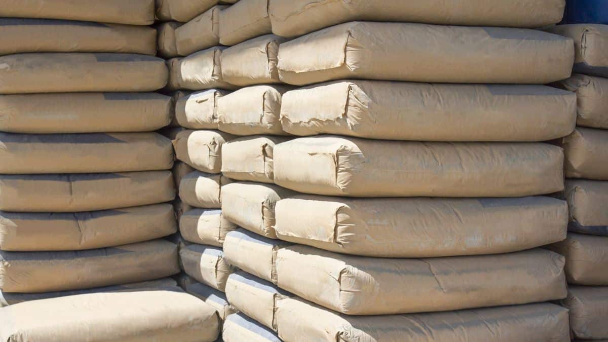 الجزائر تصدر اسمنتًا بكمية قياسية عبر ميناء بجاية