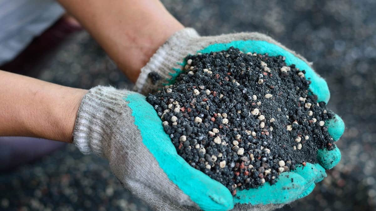 الجزائر تستفيد من ارتفاع أسعار الأسمدة عالميًا