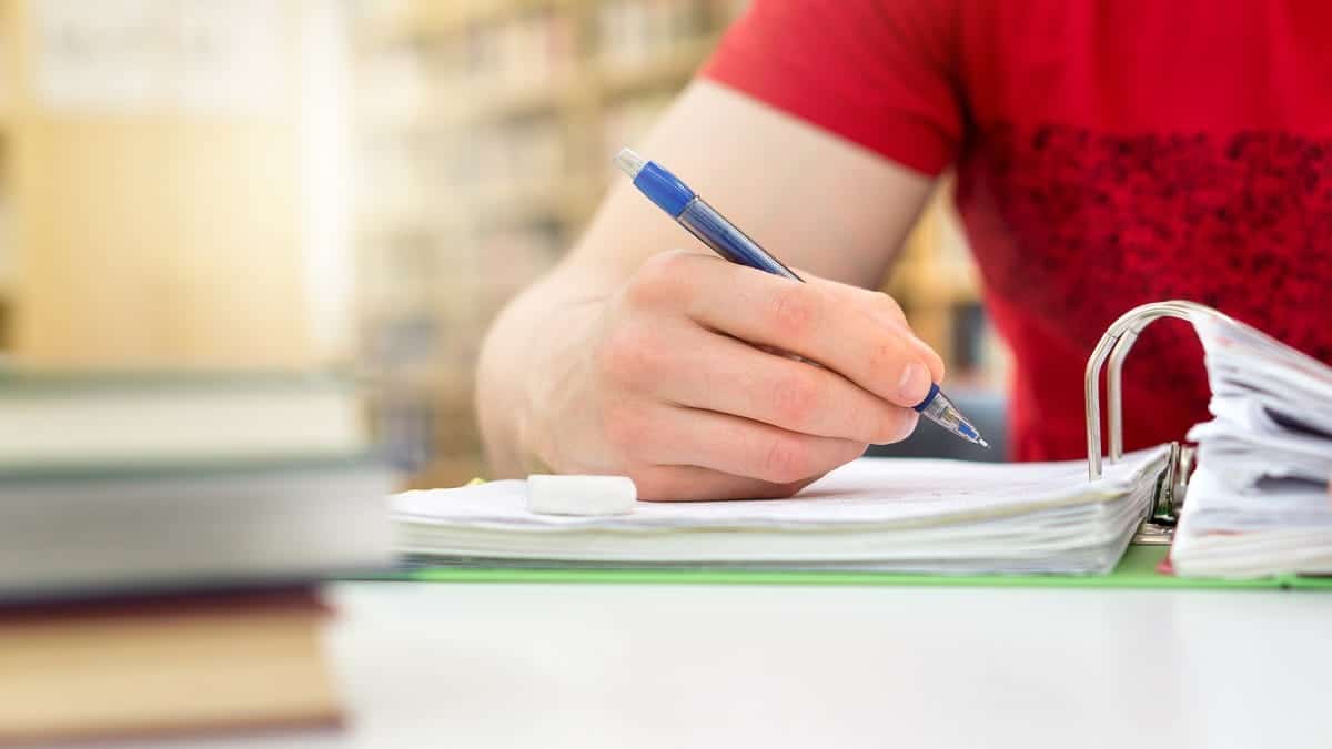 Your alt text description