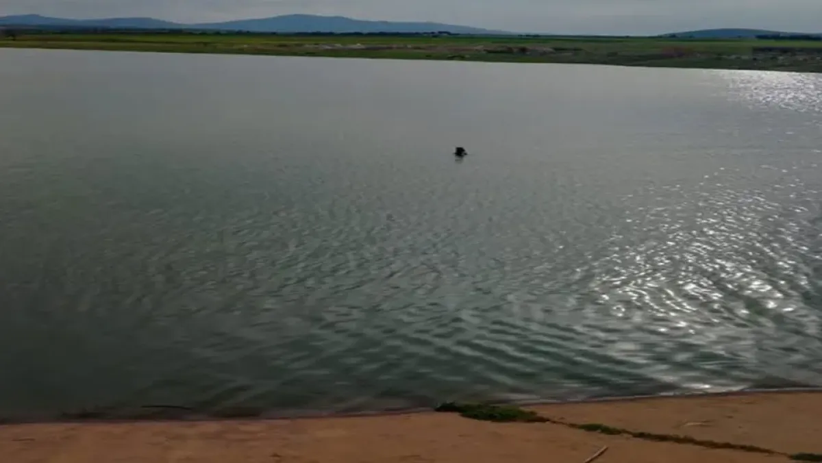 غرق طفلين في مجمع مائي بولاية الطارف