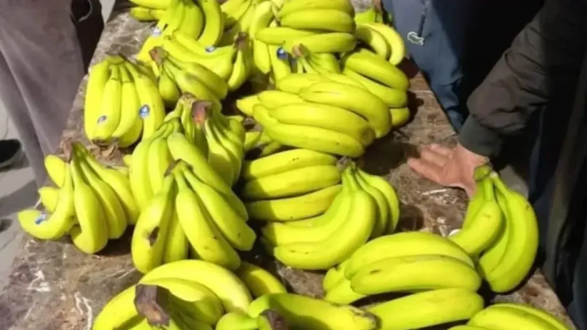 ضبط 10 أطنان موز في سوق أهراس للمنع من الاحتكار