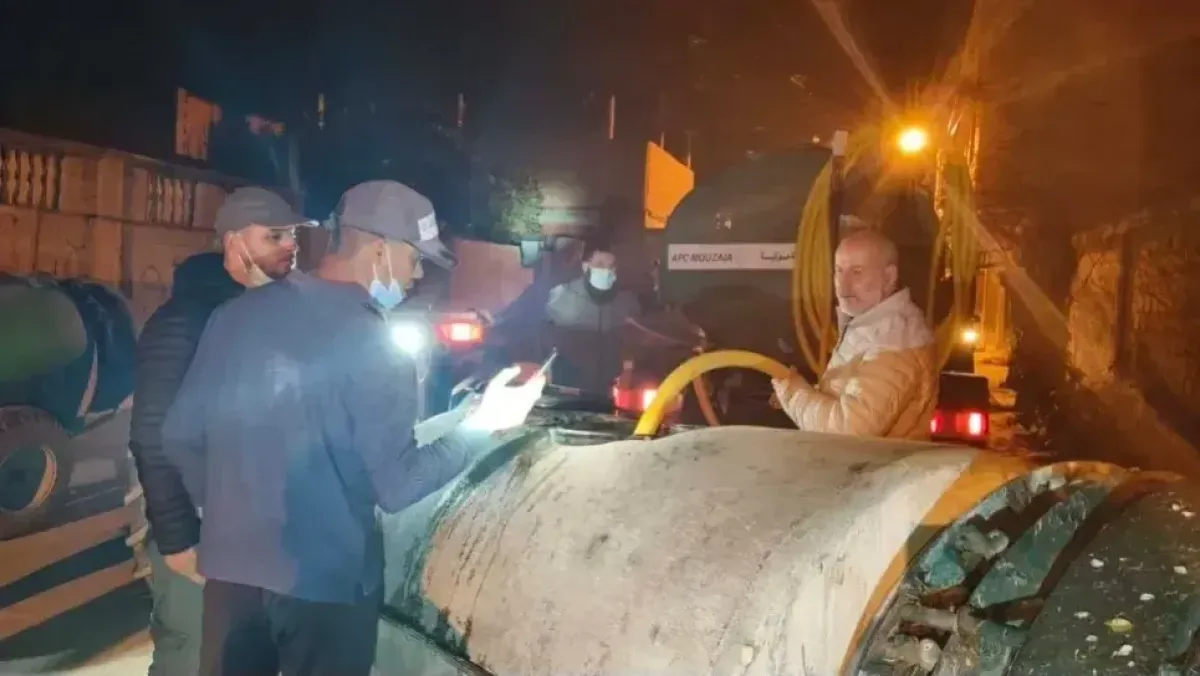 وزارة الصحة تفحص حشرة تسبب إصابات جلدية في موزاية