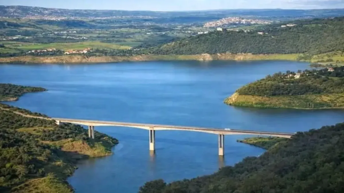 Your alt text description