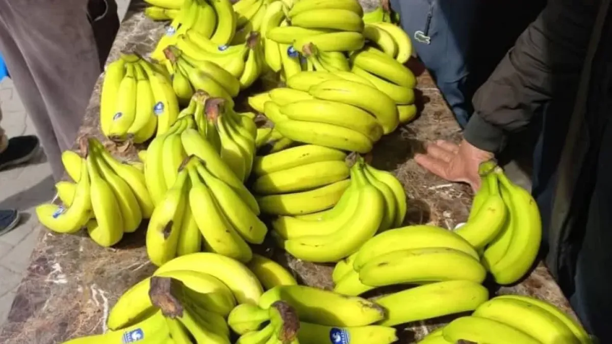 ضبط 46 طناً من الموز غير المرخص في بوفاريك