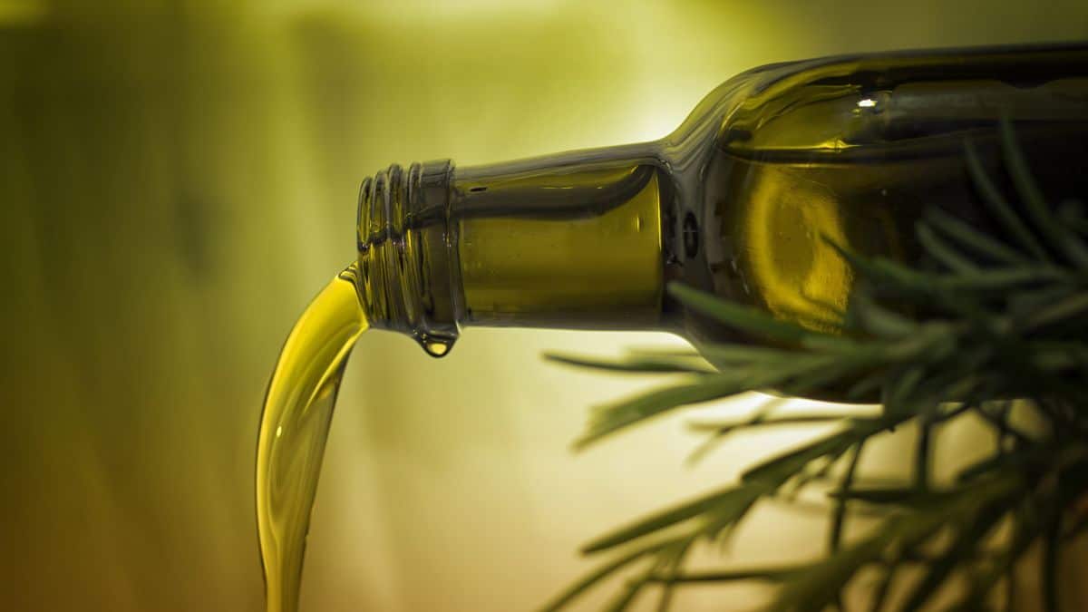 الجزائر تحتل المرتبة الثامنة عالميًا في زيت الزيتون