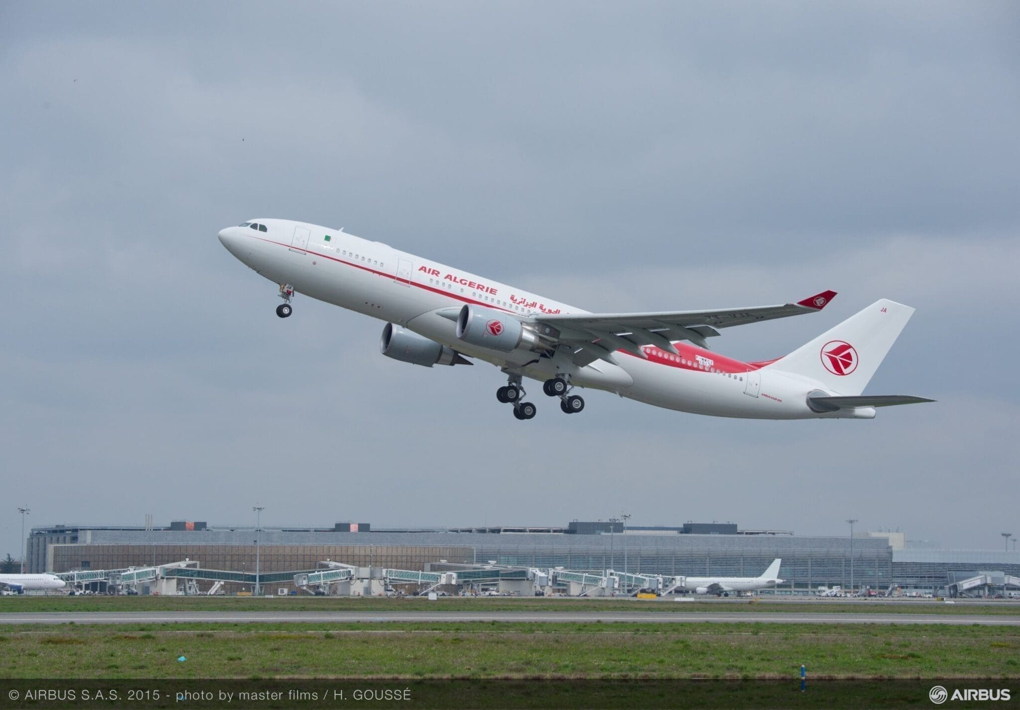 Your alt text description