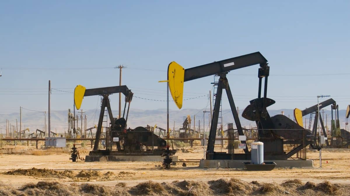 Your alt text description