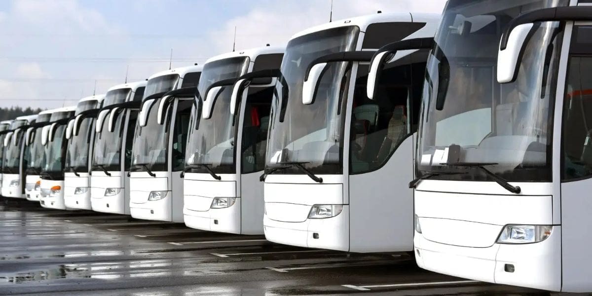 استلام 568 حافلة جديدة في برنامج تجديد النقل بالجزائر
