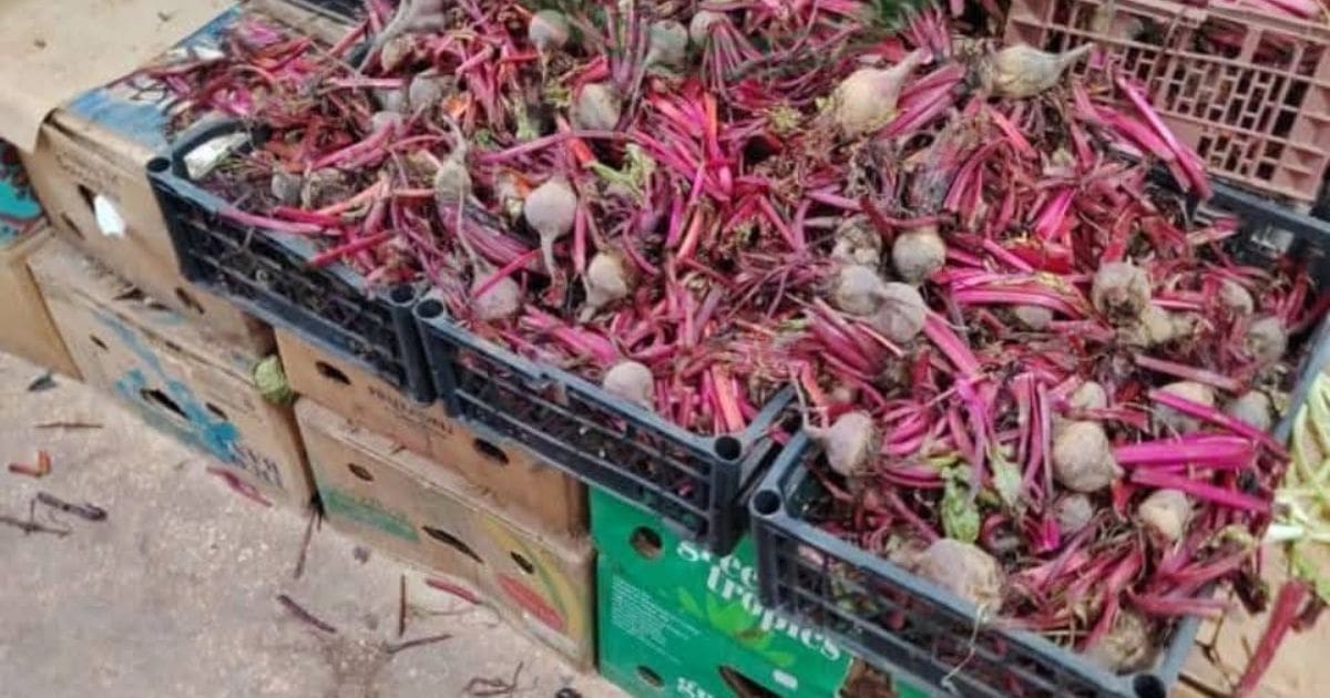 حظر بيع الفواكه والخضروات مع بقايا التربة في الجزائر