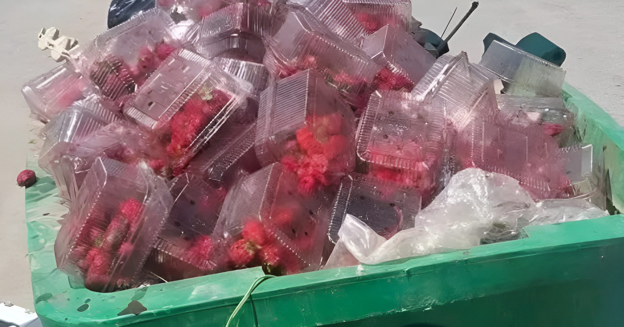 تدمير الفواكه والخضار الزائدة في الأسواق الجزائرية يثير الجدل